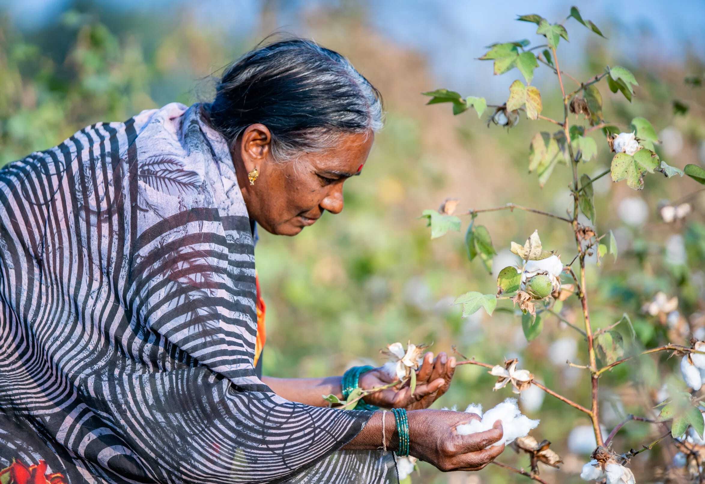 img_organic_cotton_farmer