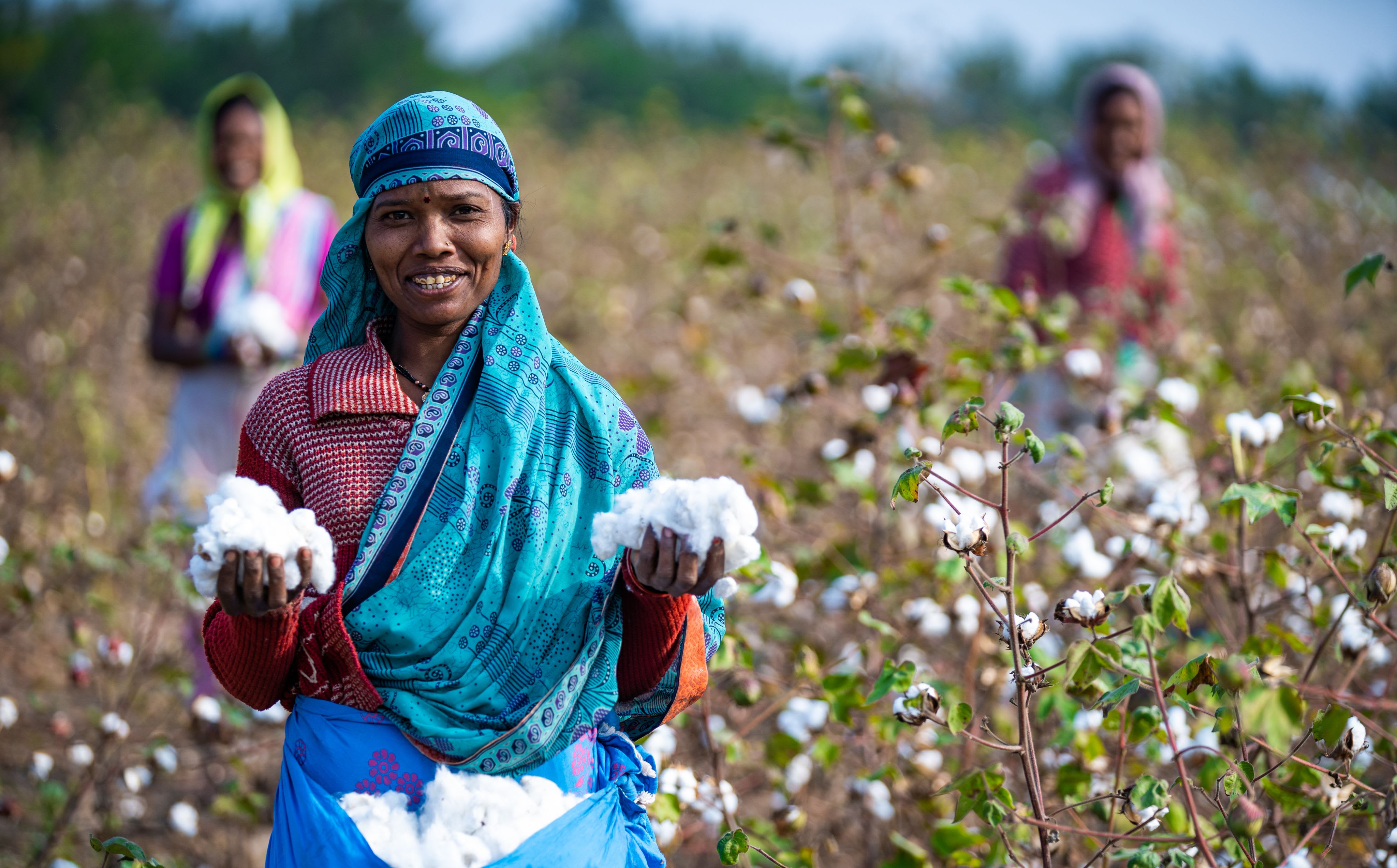 img_ramawati_organic_cotton_farmer