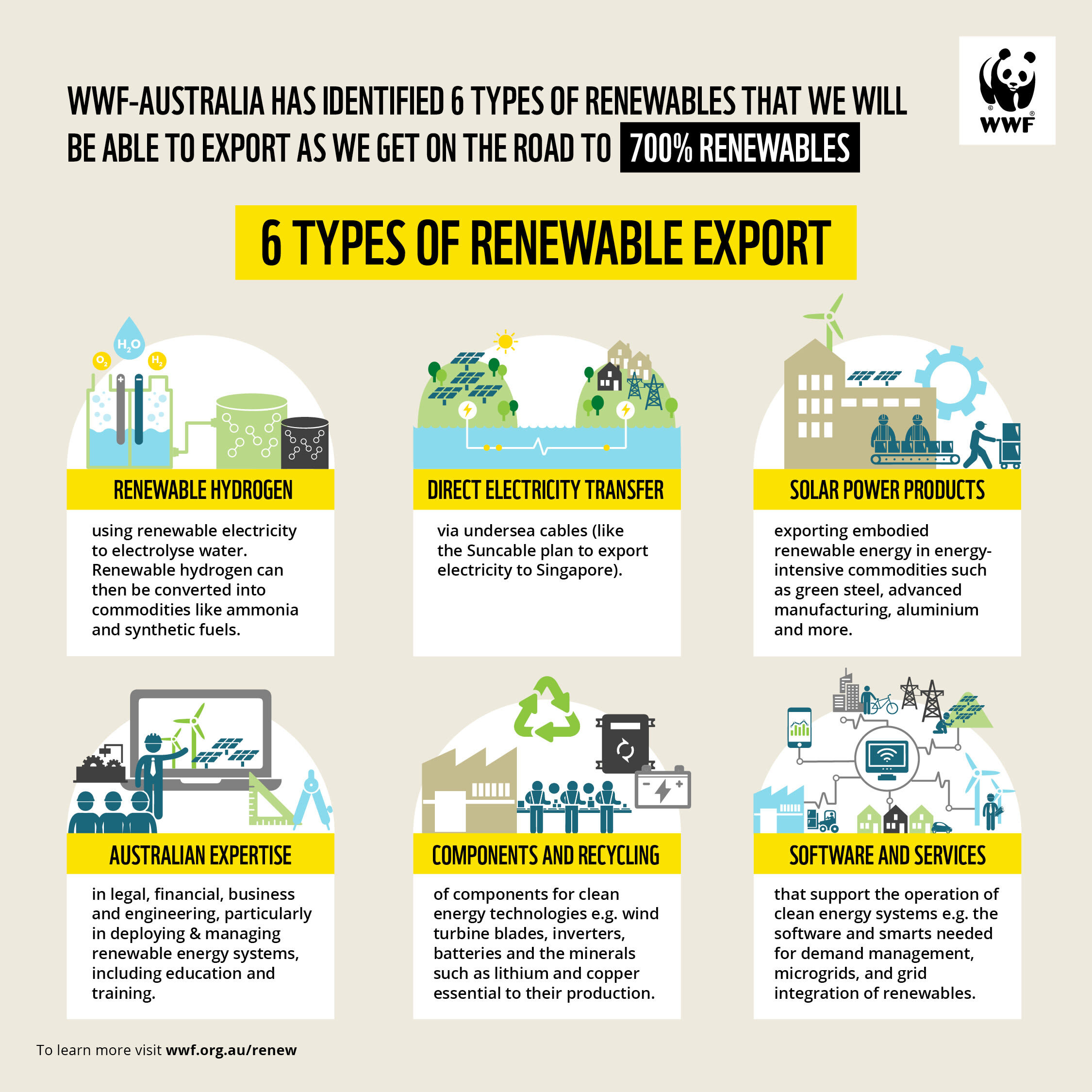Six types of renewable exports - Infographic