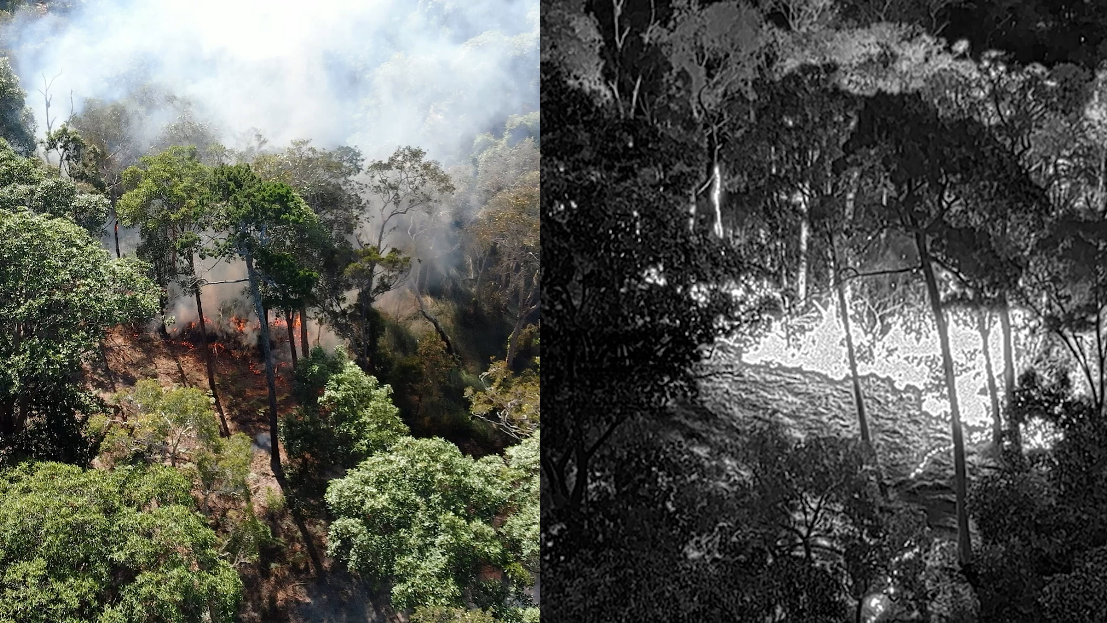 Standard and thermal imaging of cultural burn on Minjerribah (North Stradbroke Island)