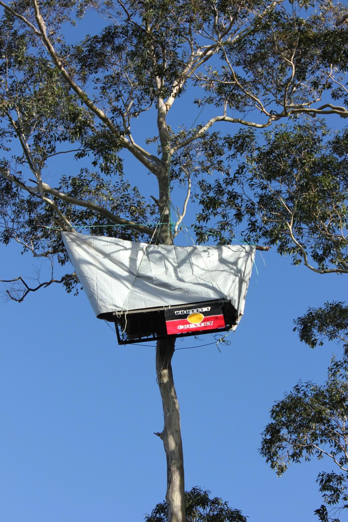 The treesit Takesa Frank was suspended in and displaying a sign ‘Protect Country’.