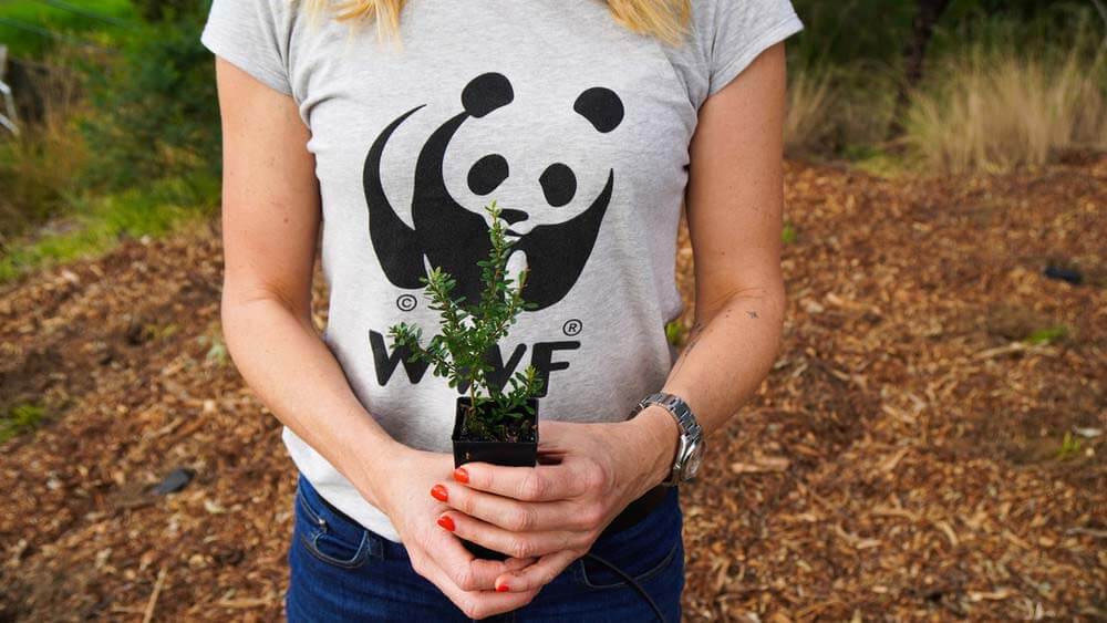 Community Tree Planting at Cook Reserve Ruse, Campelltown