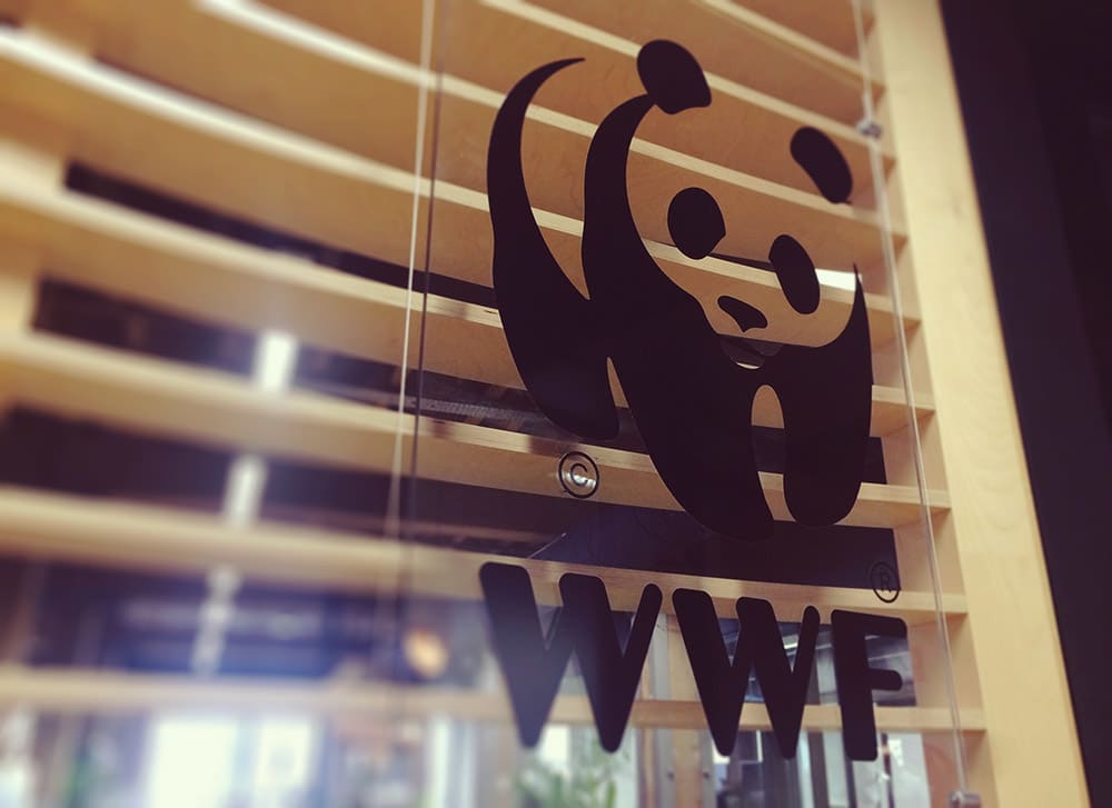 WWF Sydney office, panda HQ
