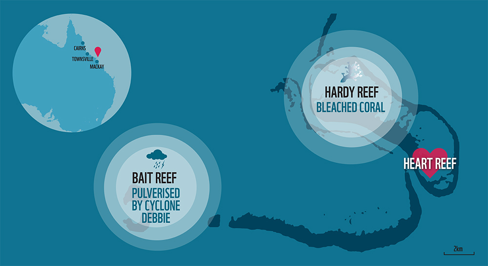 Graph showing the location of the Heart Reef and where the bleaching has occurred