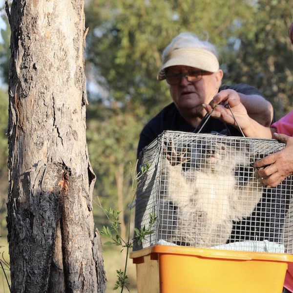 Marilyn and Petrina preparing Raine for her release